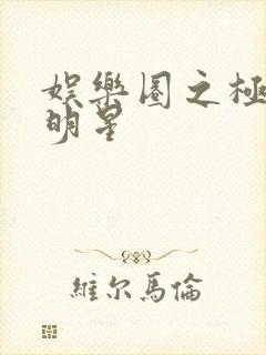 娱乐圈之极品大明星