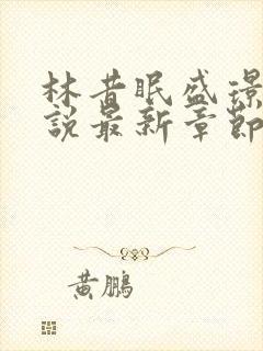 林昔眠盛璟承小说最新章节免费阅读