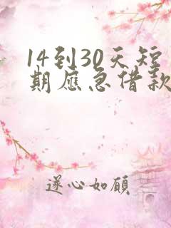 14到30天短期应急借款