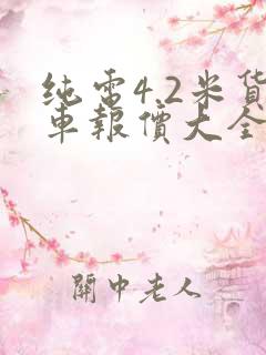 纯电4.2米货车报价大全价格