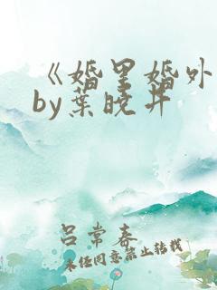 《婚里婚外》 by叶晓井