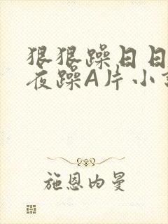 狠狠躁日日躁夜夜躁A片小说