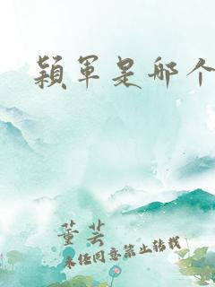 颖军是哪个军阀