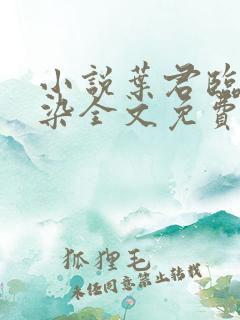 小说叶君临李子染全文免费阅读