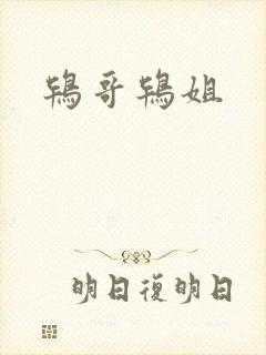 鸨哥鸨姐