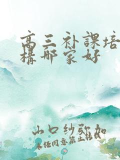 高三补课培训机构哪家好