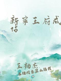 新宁王府成人网站
