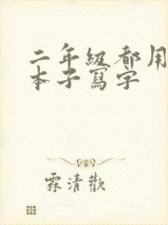 二年级都用什么本子写字