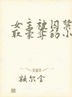 女主被囚禁被强取豪夺的小说