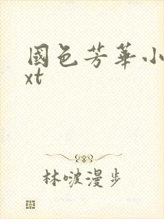 国色芳华小说txt