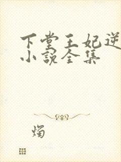 下堂王妃逆袭记小说全集