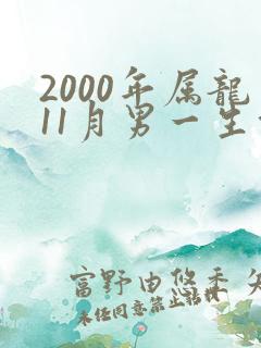 2000年属龙11月男一生命运