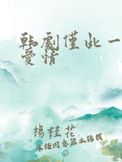 韩剧仅此一次的爱情