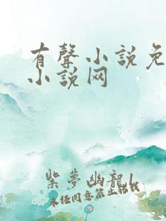 有声小说免费听小说网