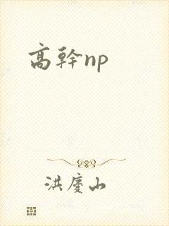 高干np
