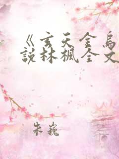 《玄天金乌》小说林枫全文阅读