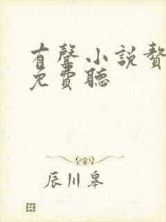 有声小说赘婿啊免费听