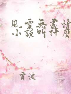 风雪无尽情原著小说叫什么