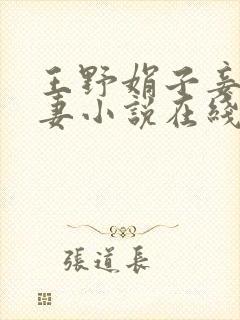 王野娟子妾不如妻小说在线阅读