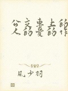 公交车上的陌生人的爱的作文