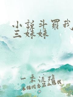 小说斗罗我是唐三妹妹