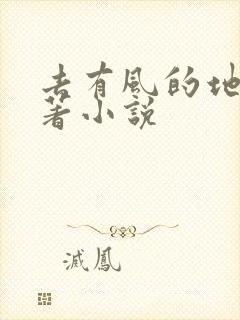 去有风的地方原著小说