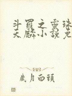 斗罗之灵珠神剑天麟小说免费阅读无弹窗