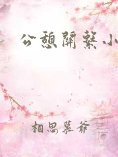 公憩关系小说