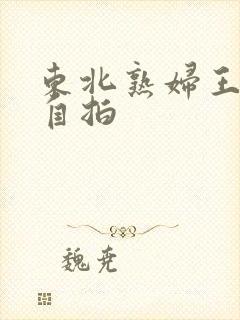 东北熟妇王梅娟自拍