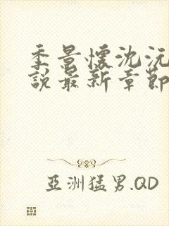 季景怀沈沅溪小说最新章节免费阅读