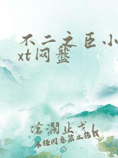 不二之臣小说txt网盘