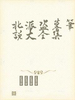 北派盗墓笔记小说大全集