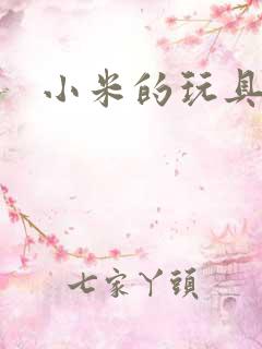 小米的玩具日记