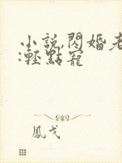 小说,闪婚老公:轻点宠