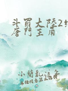 斗罗大陆2绝世唐门主角