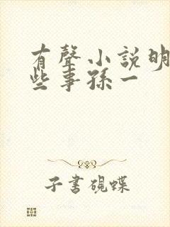 有声小说明朝那些事孙一