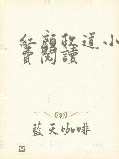 红颜政道小说免费阅读