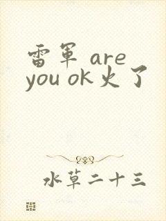 雷军 are you ok火了