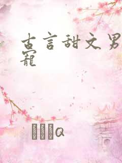 古言甜文男主超宠