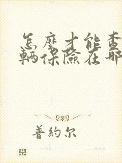 怎么才能查到车辆保险在哪家买的