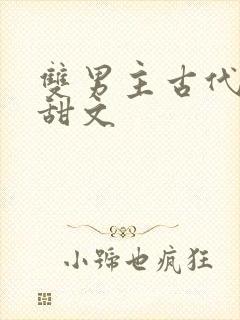 双男主古代生子甜文