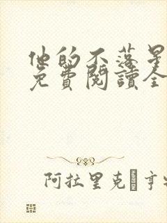 他的不落星小说免费阅读全文最新章节