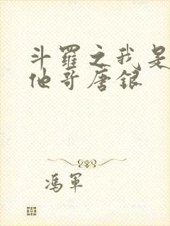 斗罗之我是唐三他哥唐银