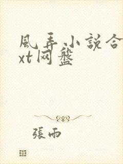 风弄小说合集txt网盘