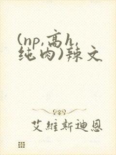 (np,高h,纯肉)辣文