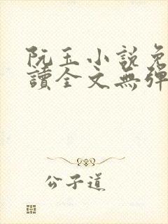 阮玉小说免费阅读全文无弹窗