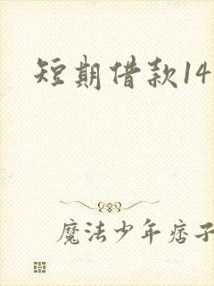 短期借款14天