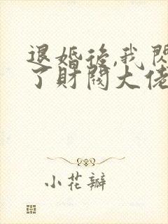 退婚后,我闪婚了财阀大佬