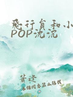 飞行员和小空乘POP沈沉