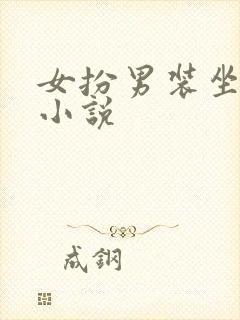 女扮男装坐江山小说